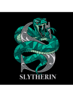 Slytherin Charm T Shirt Artwork 500x667
