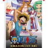 One Piece Amazon Lily arc anime Poster
