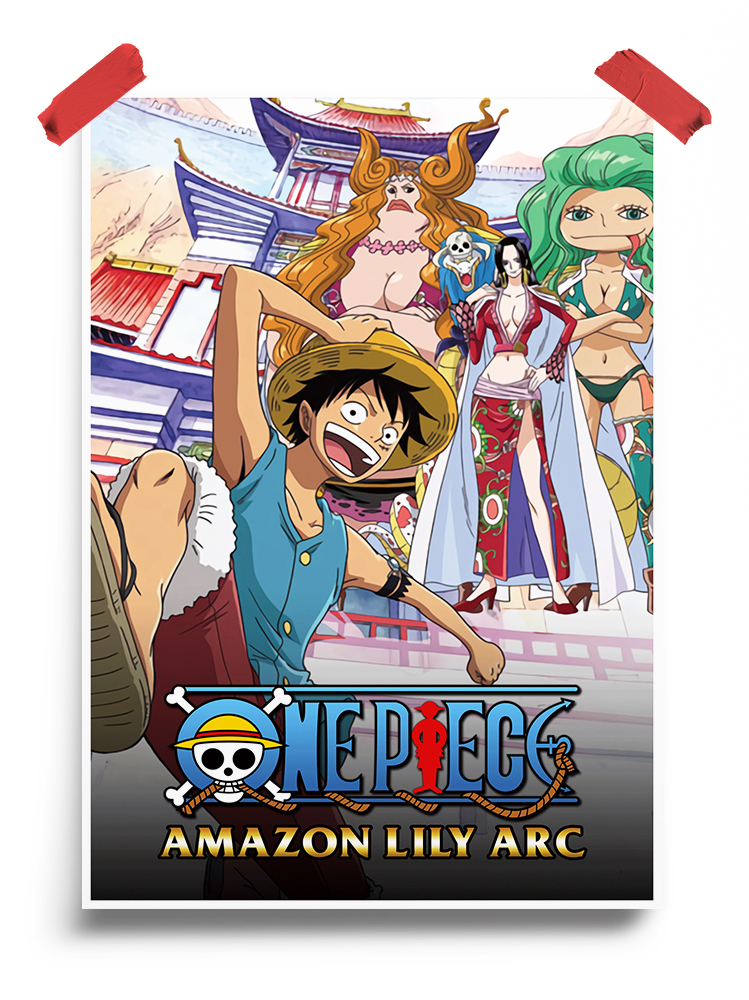 One Piece Amazon Lily arc anime Poster
