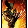 DC Comics : Wolverine Poster