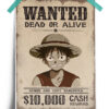 One Piece | Straw Hat Luffy First bounty Poster