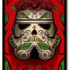 Star Wars : Muerte Stromtropper Poster