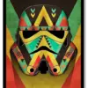 Star Wars : Organic Stromtropper Poster