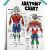 Dragon Ball Goku Anatomy Chart anime Poster