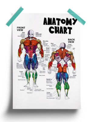 Dragon Ball Jiren Anatomy Chart anime Poster