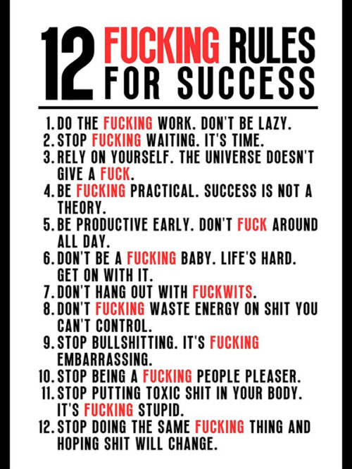 12 Fucking Rules for Success motivational Quote Poster