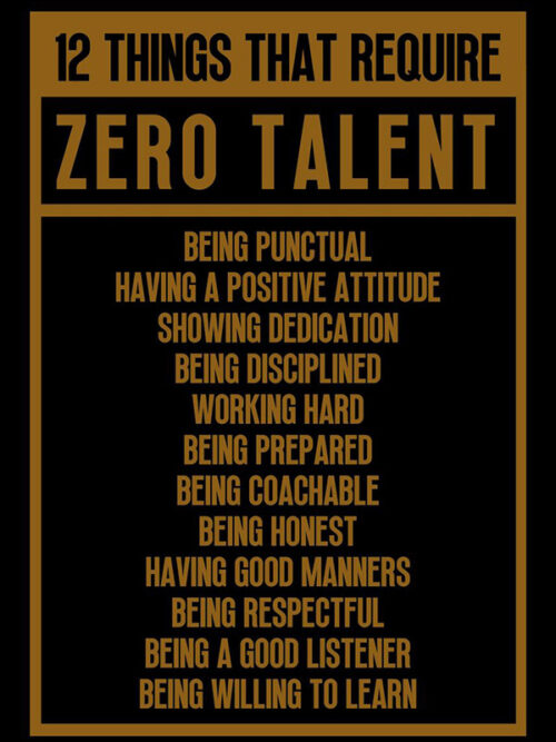 12 things that require Zero talent motivational Quote Poster