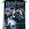 The Order of the Phoenix - Harry Potter Official Poster