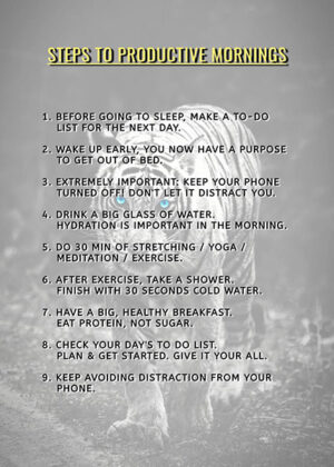 9 Steps for productive mornings motivational Poster
