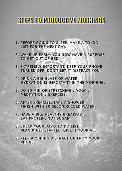 9 Steps for productive mornings motivational Poster