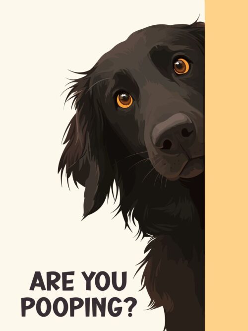 Are You Pooping Flattie Poster