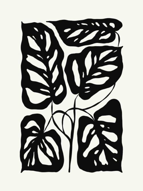 Black And White Monstera Leaves Poster