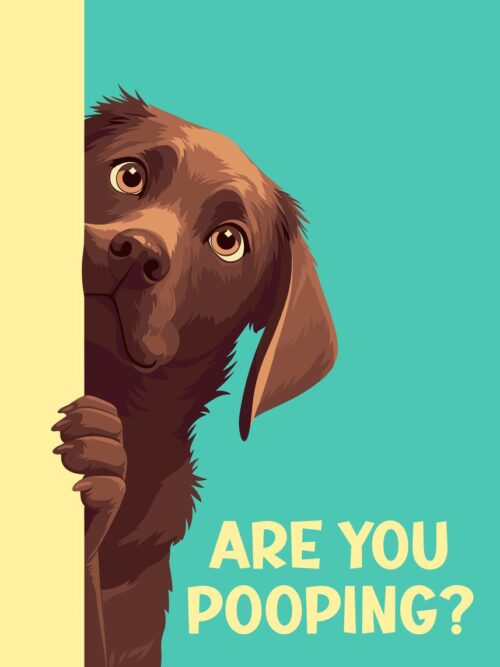 Brown Labrador Pooping Poster