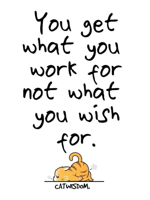 Cat Wisdom Motivation Poster