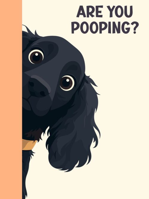 Cocker Spaniel Peeking Poster