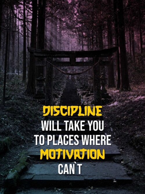 DISCIPLINE QUOTE Poster