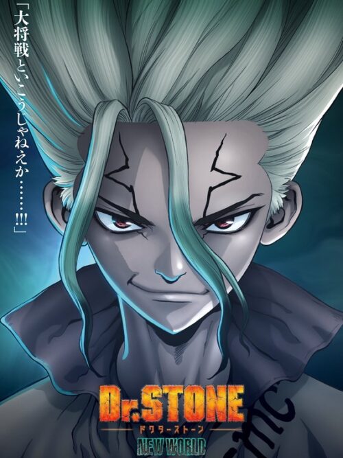 Dr Stone New World Anime & Manga Poster