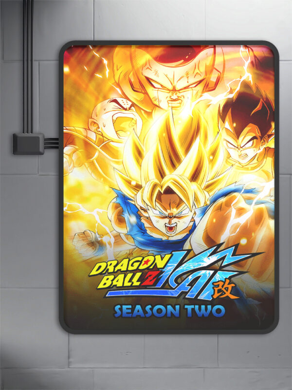 Dragon Ball Z Kai (2009) Season 2 anime Poster