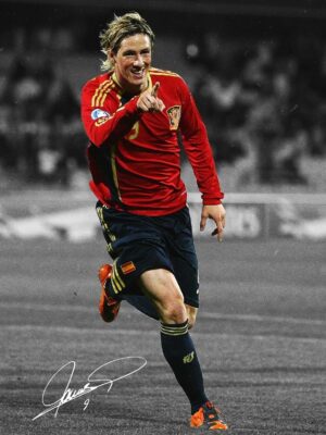 Fernando Torres Football Poster