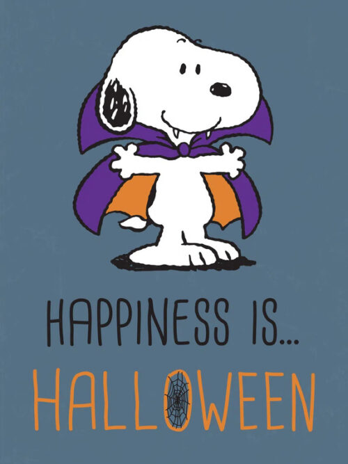 Happiness Is Halloween Peanuts Poster