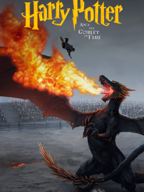 Harry Potter And The Goblet Of Fire Poster