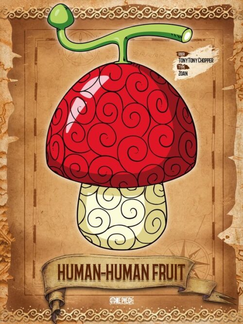 Human Human Devil Fruit One Piece Anime & Manga Poster
