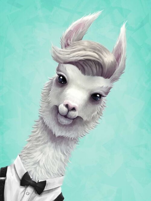 Llama Questionning Poster
