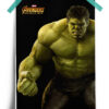 The Hulk - Infinity War Heroes Poster