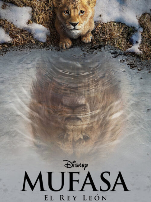 Mufasa The Lion King Poster