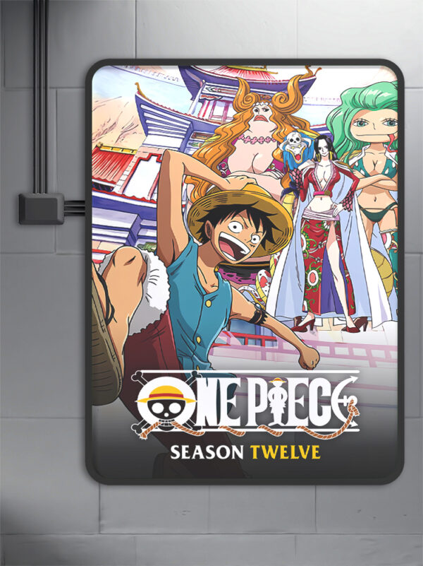 One Piece (1999) - Season 12 anime Poster