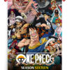 One Piece (1999) - Season 16 anime Poster