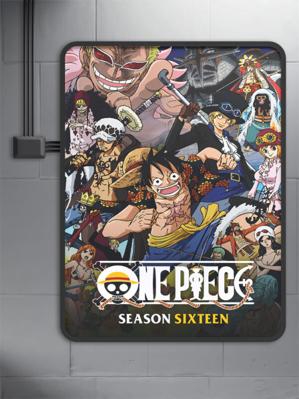 One Piece (1999) - Season 16 anime Poster