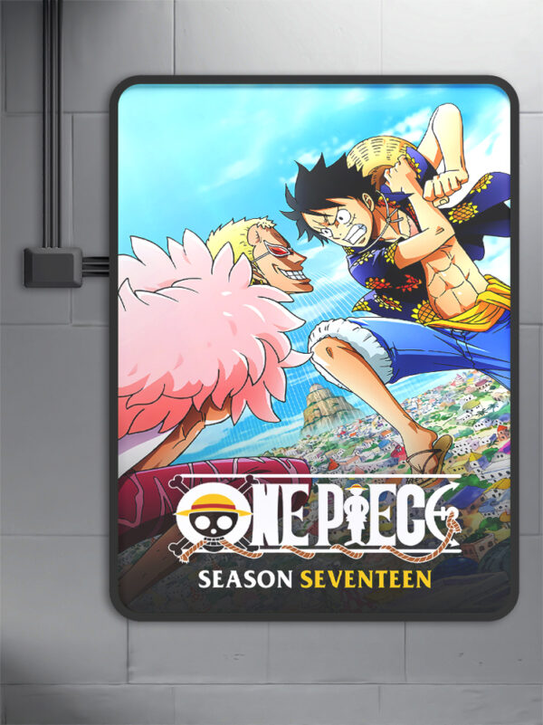 One Piece (1999) - Season 17 anime Poster