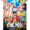 One Piece (1999) - Season 20 anime Poster