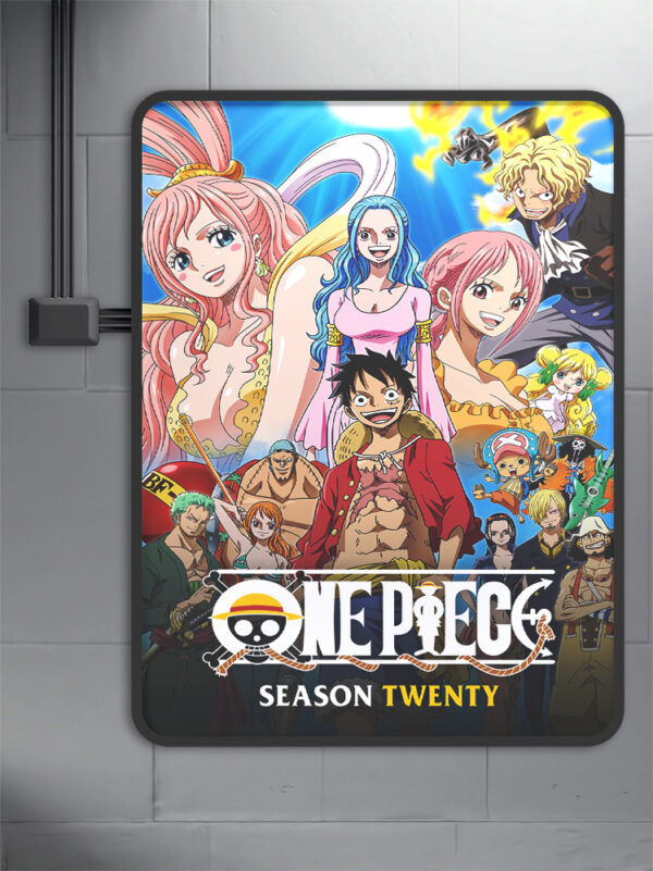 One Piece (1999) - Season 20 anime Poster