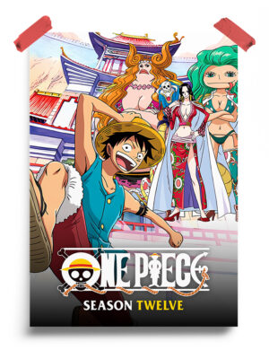 One Piece (1999) - Season 12 anime Poster