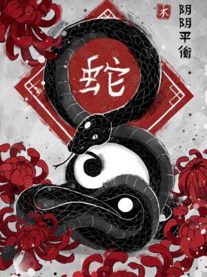 Snake Balance Yin Yang Poster