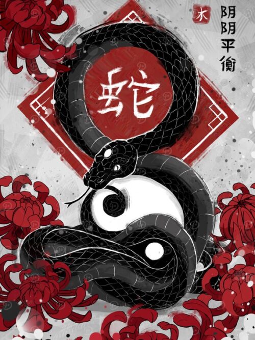 Snake Balance Yin Yang Poster