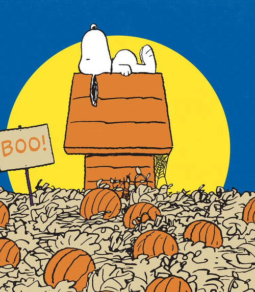Snoopy Pumpkin Field Peanuts Poster