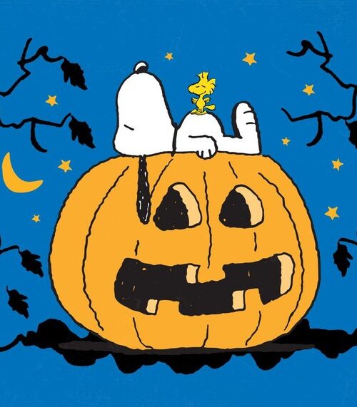 Snoopy Sleeping Pumpkin Peanuts Poster