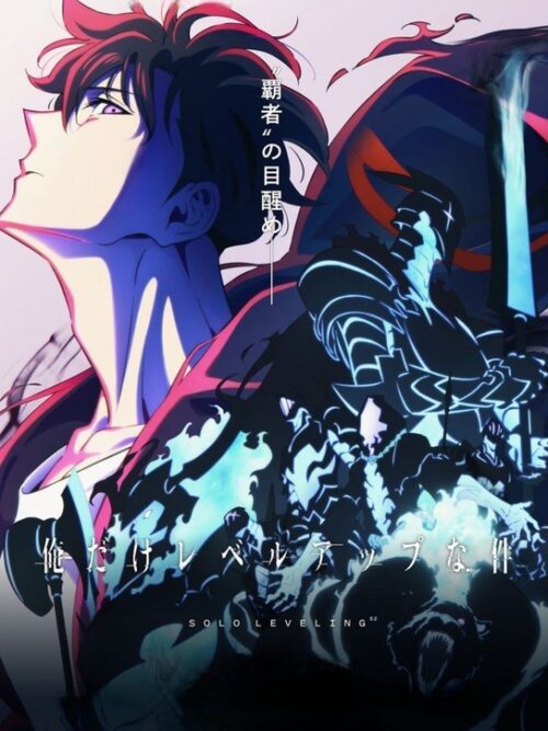 Solo Leveling Anime & Manga Poster