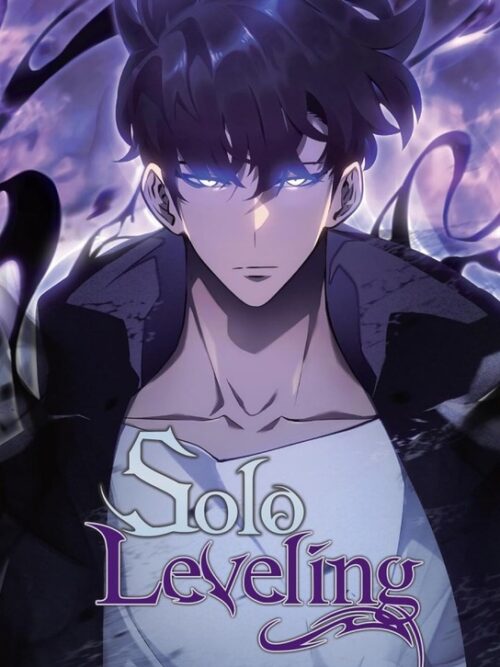 Solo Leveling Anime & Manga Poster