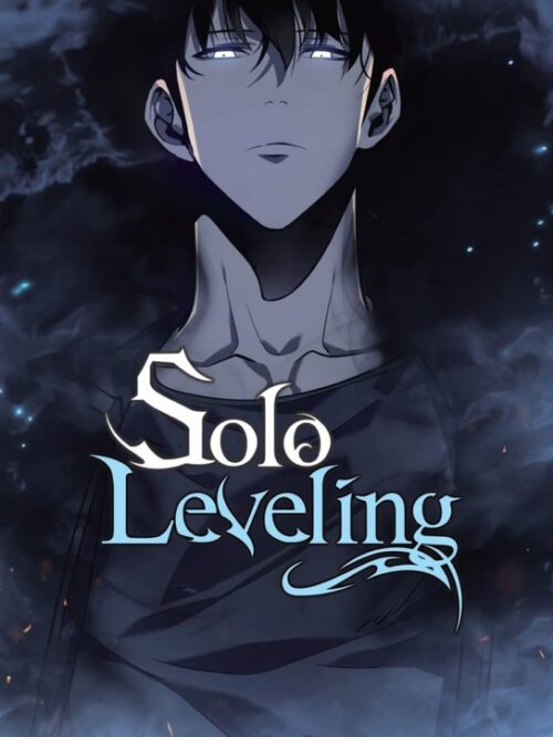 Solo Leveling Anime & Manga Poster