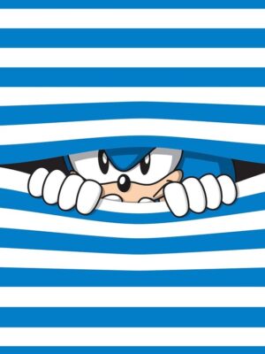 Sonic Stripes Poster