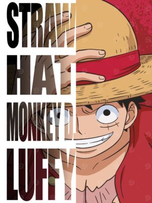 Straw Hat Monkey D Luffy One Piece Poster