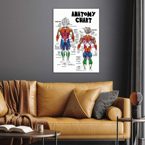 Dragon Ball Goku Anatomy Chart anime Poster