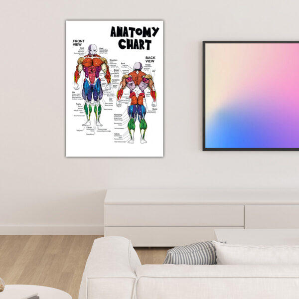 Dragon Ball Jiren Anatomy Chart anime Poster