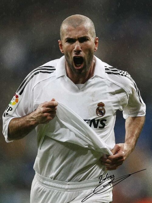 Zinedine Zidane Soccer Poster