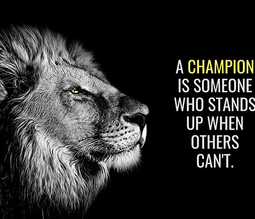 Be a champion not a pussy animal motivational Poster