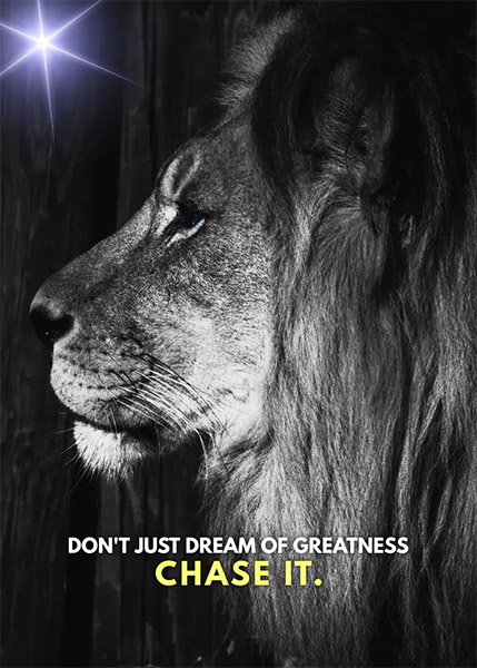 Chase your dreams animal motivational Poster
